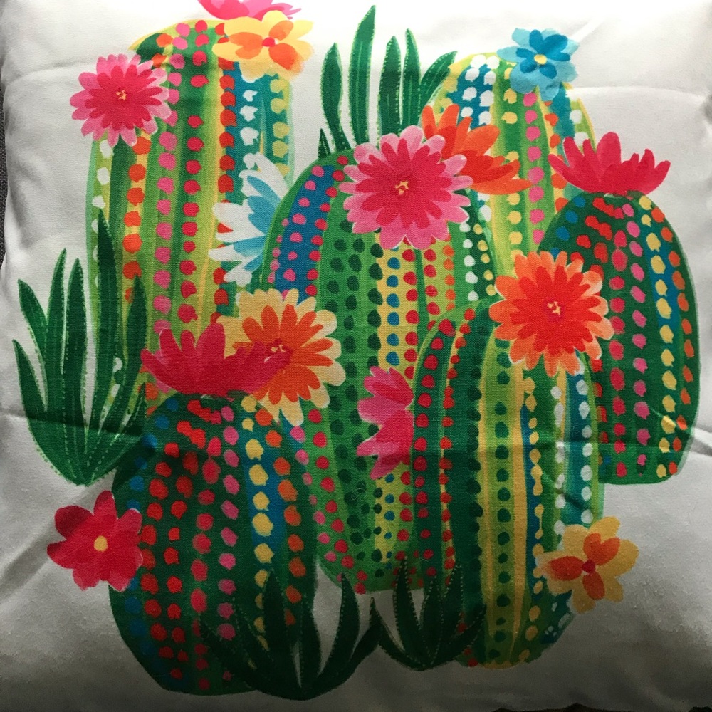 18” by 18” pillow case succulent cactus - Picture 3 of 7